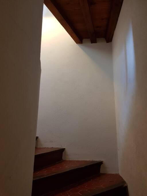 Appartement Pres Des Plages Du Mourillon Toulon Eksteriør bilde